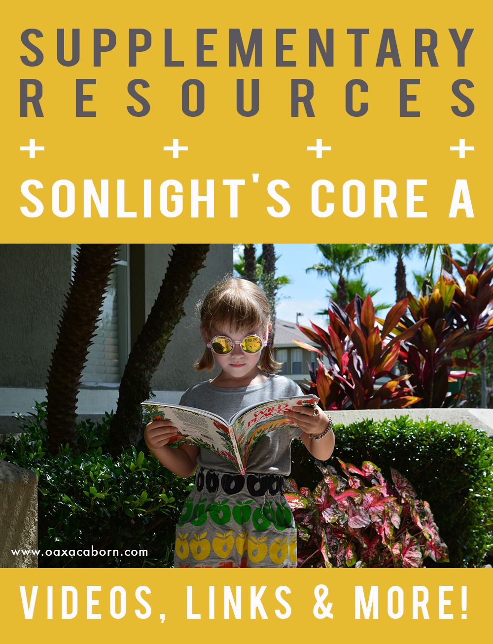 Videos Printables Books Links More Supplementary Sonlight Core videos-printables-books-links-more-supplementary-sonlight-core