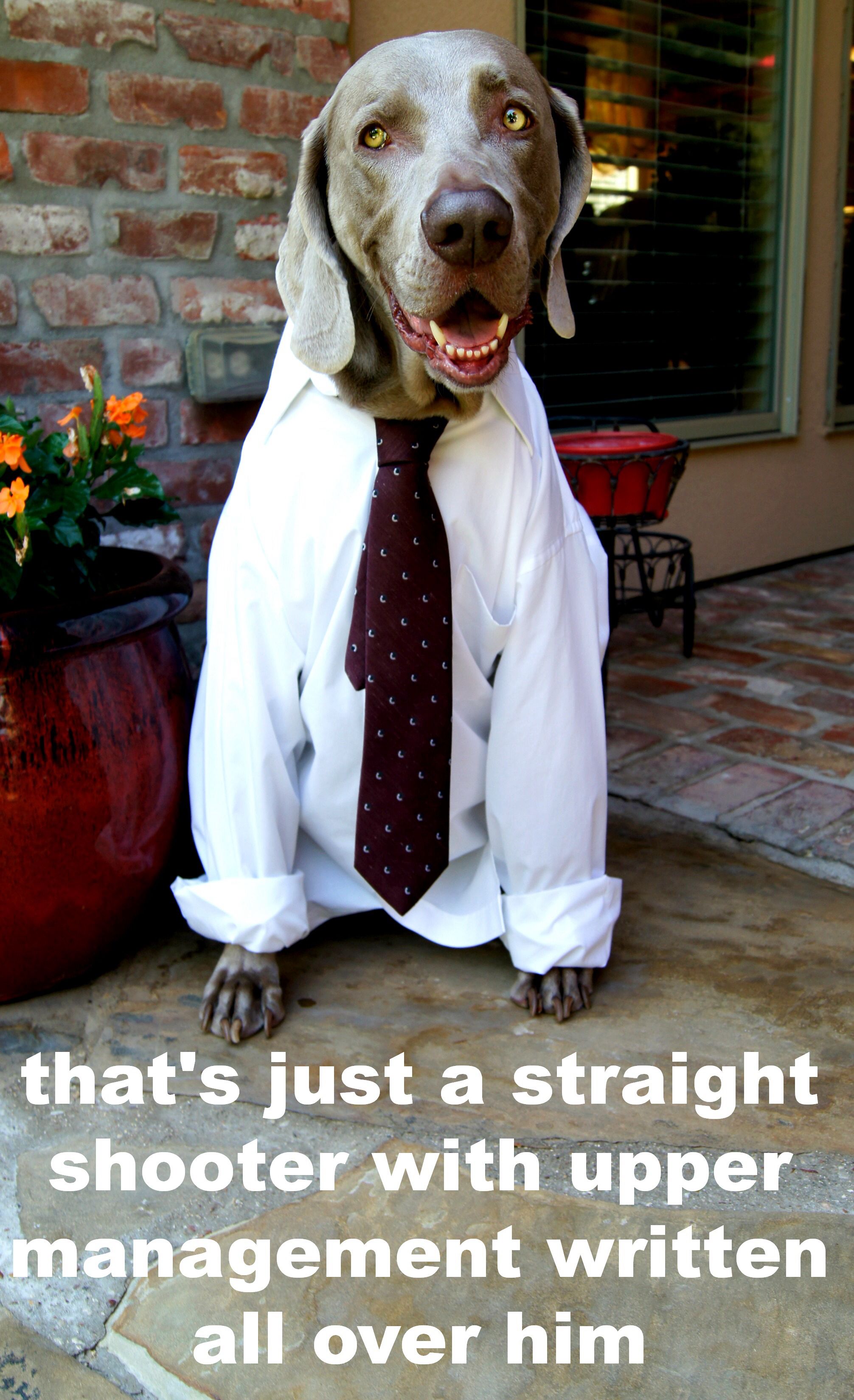 Pin By Amy Jones On Hilarity Ensues Office Space Quotes Movie Facts New Quotes
