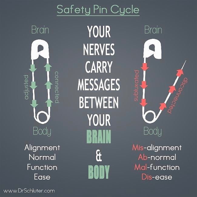 The power of the cycle! Thanks for the cool graphic @drschluter - #GetAdjusted . . . . . . . . . . #chiropractic #chiropractor #coloradosprings #colorado #gethealthy #getadjusted #coloradohealth http://ift.tt/2mie3Bw #ColoradoSprings #Chiropractic #LiveWell #GetAdjusted Benefits Of Chiropractic Care, Chiropractic Quotes, Chiropractic Marketing, Chiropractic Office, Family Chiropractic, Massage Benefits, Chiropractic Wellness, Chiropractic Therapy, Chiropractic Adjustment