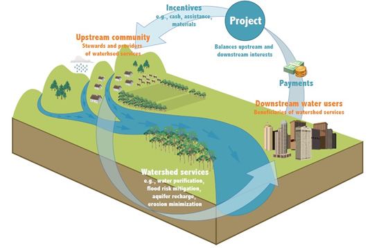 Soil and water conservation essay