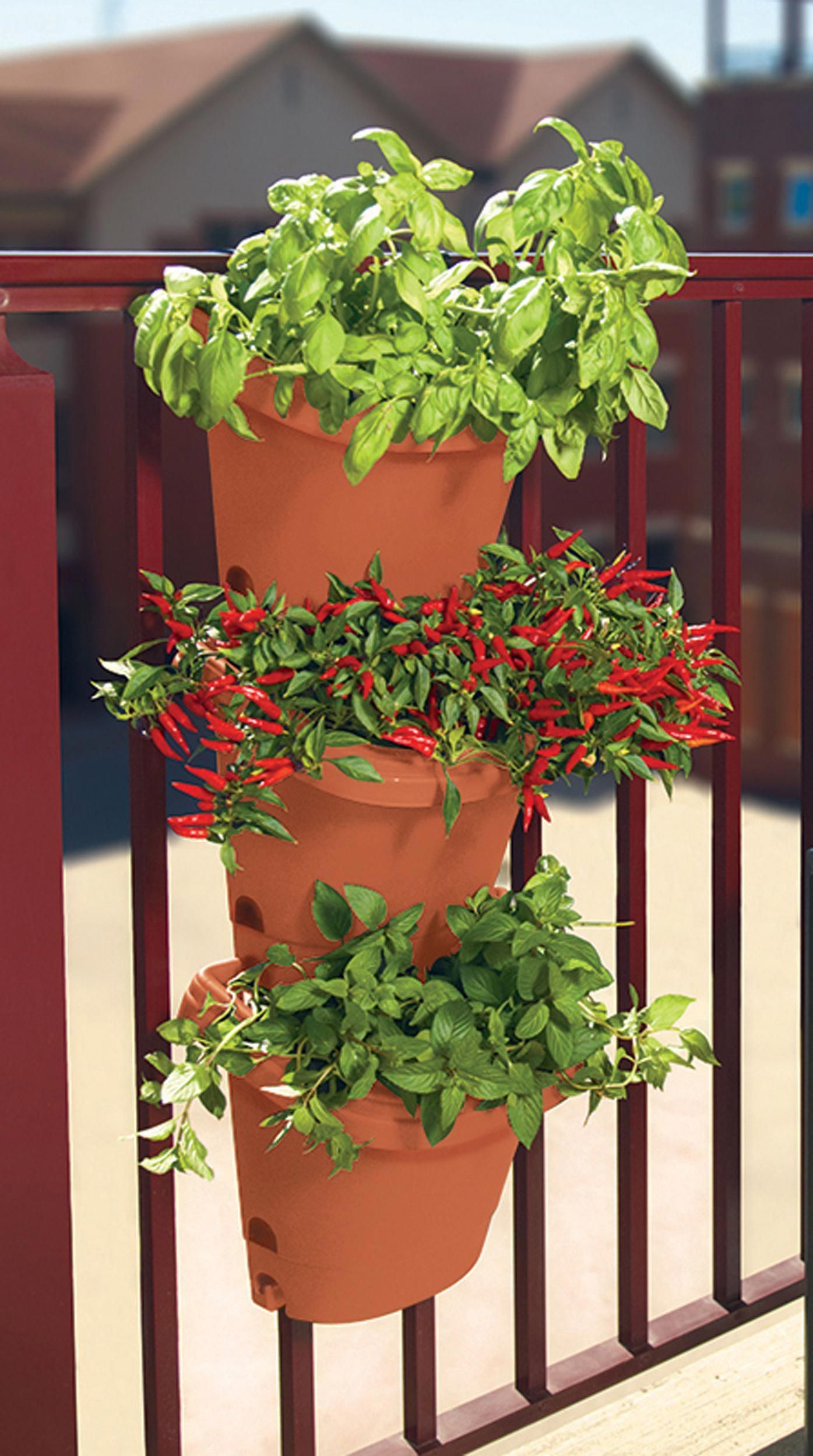 bloem hanging garden planter system 3 pack terra cotta walmart com hanging garden small space gardening garden planters bloem rail planter on bloem hanging garden planter system 3 pack terra cotta walmart com hanging garden small space gardening garden planters pinterest