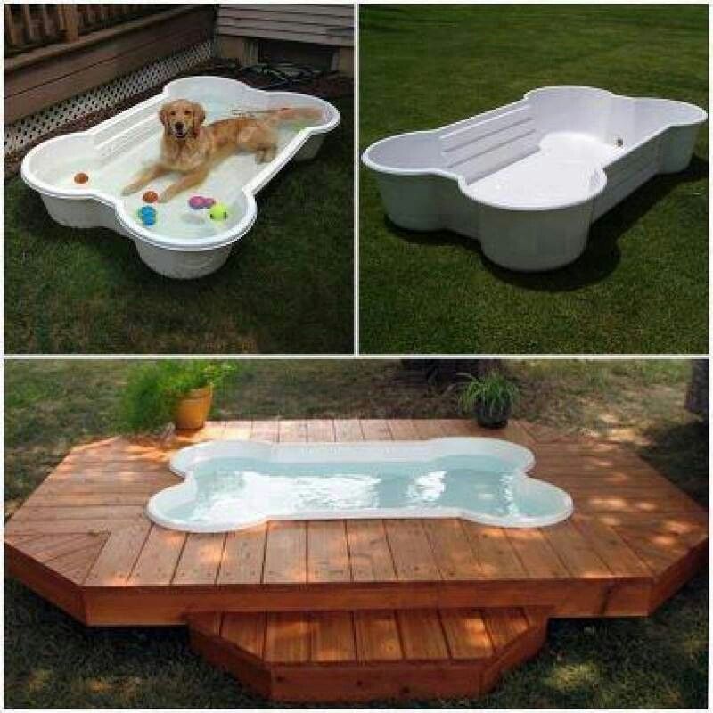 For The Dog S D Dog Bone Pool Dog House Diy Dog Pool