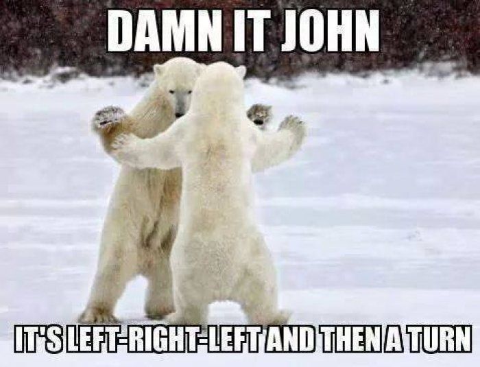 damn it john polarbear meme www jokideo com animals c9a35de8c2e6bfedb1b6df9ece94fb50 damn it john polarbear meme www jokideo com animals