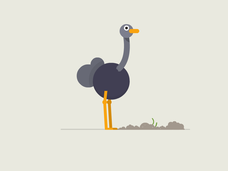 pics Ostrich Gif Cartoon pin on motiongraphic