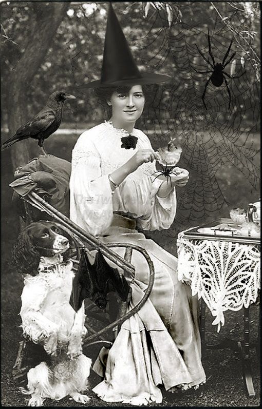 Historic Photo Print Witches Having Tea