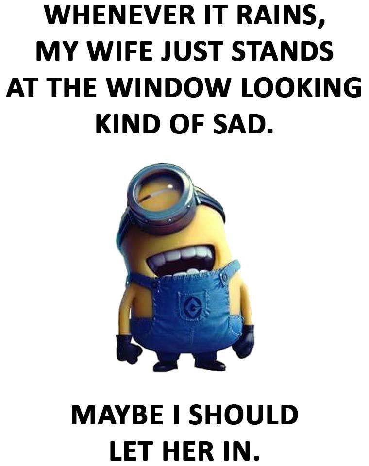 Discover ideas about Funny Minion Memes Is it possible to neuter a minion? | It's a jungle | Funny black ...