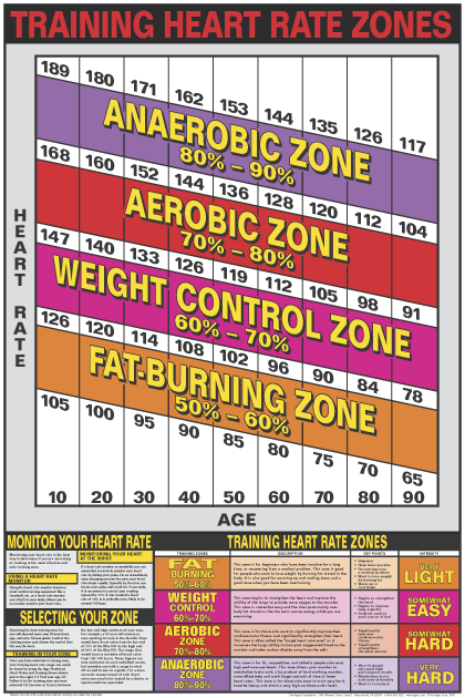Heart Rate Training Zones Poster - Laminated #exercisezoneofcontrol