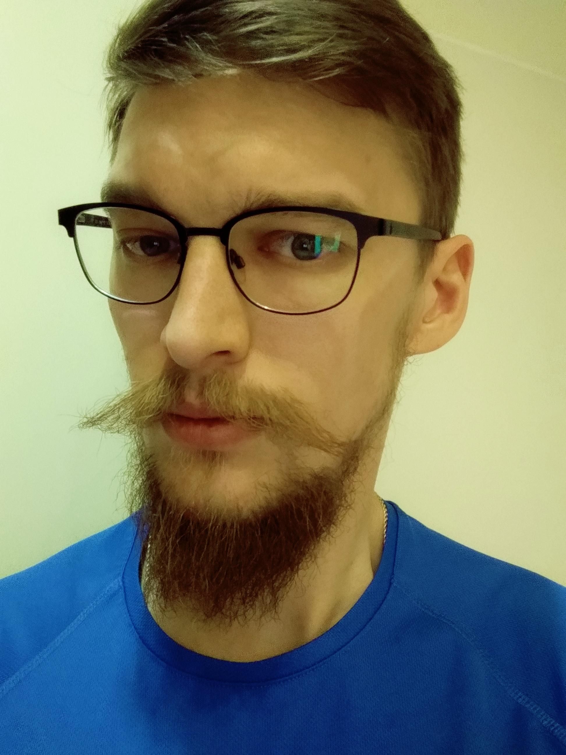 Already asked the r/Mustache should I go for beardstache or would you