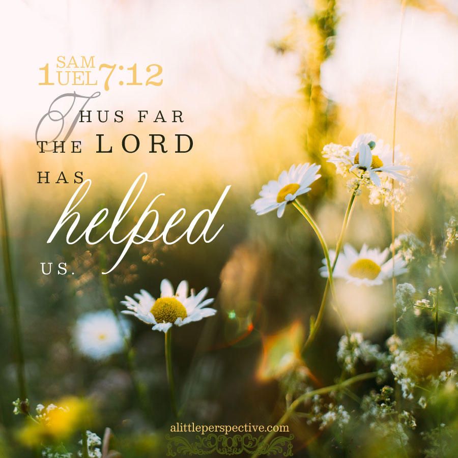 Welcome To Scripture Pictures With Images Scripture Pictures Scripture Verses Scripture Photography