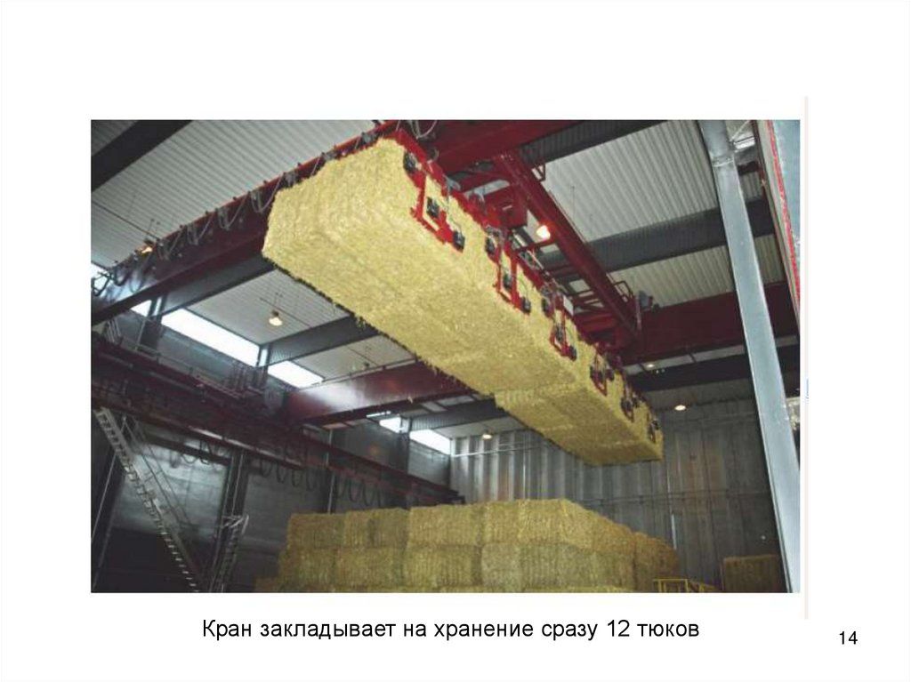 переработка конопли целлюлоза переработка конопли целлюлоза