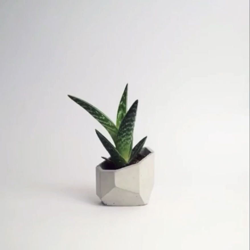 ALIUM - Concrete Geometric Planter ALIUM - Concrete Geometric Planter