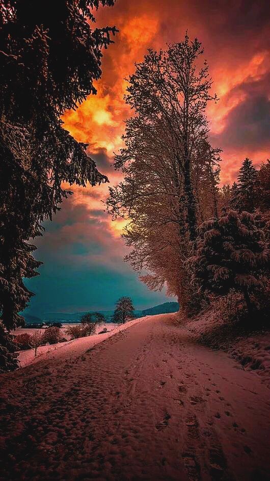 Nice winter #autumnscenery
