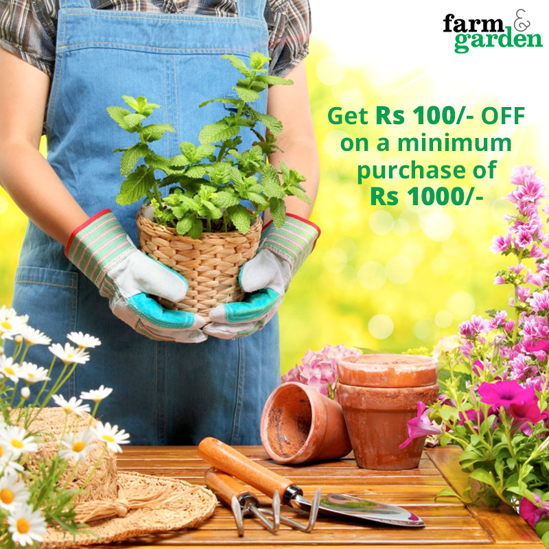 Gardening Supplies Ballarat Underneath Gardening Leave Definition In Business Organic Vegetable Garden Organic Gardening Tips Backyard Garden
