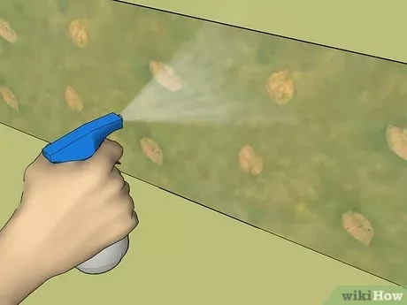How To Remove A Wallpaper Border Removing Old Taking Off - Removing Old Wallpaper Border How To Remove A Wallpaper Border Removing Old Taking Off - Removing Old Wallpaper Border