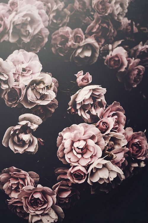 pix Faith Fleur Wallpaper pinterest