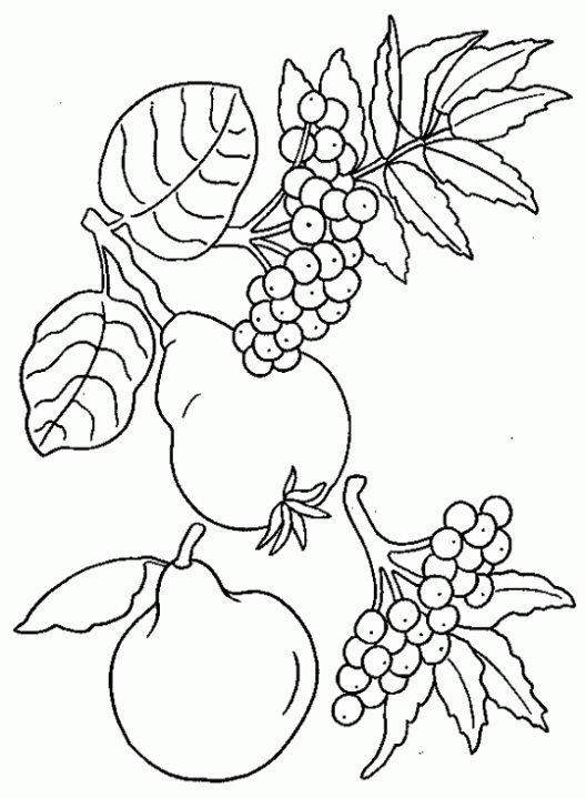 PATRONES DE CANASTA DE FRUTAS PARA DESCARGAR Y BORDAR PATRONES DE CANASTA DE FRUTAS PARA DESCARGAR Y BORDAR