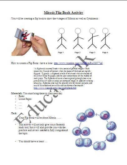 interphase mitosis flip book interphase mitosis flip book