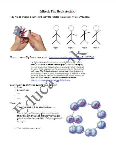 mitosis flip books diagram masters