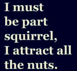 quote for online dating profile