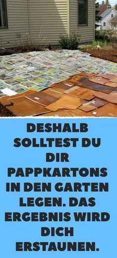 Deshalb solltest du dir Pappkartons in den Garten legen. Das Ergebnis wird dich erstaunen.