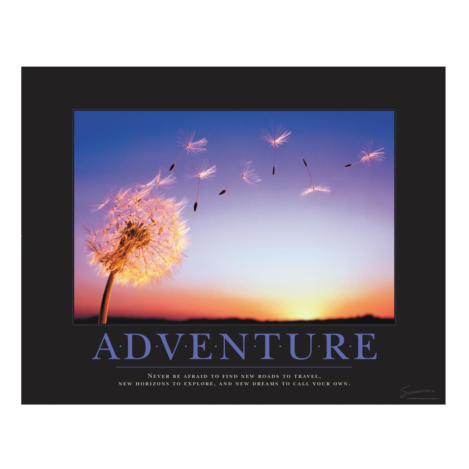 Adventure Dandelion Motivational Poster | Successories | Motivational posters, Poster, Adventure