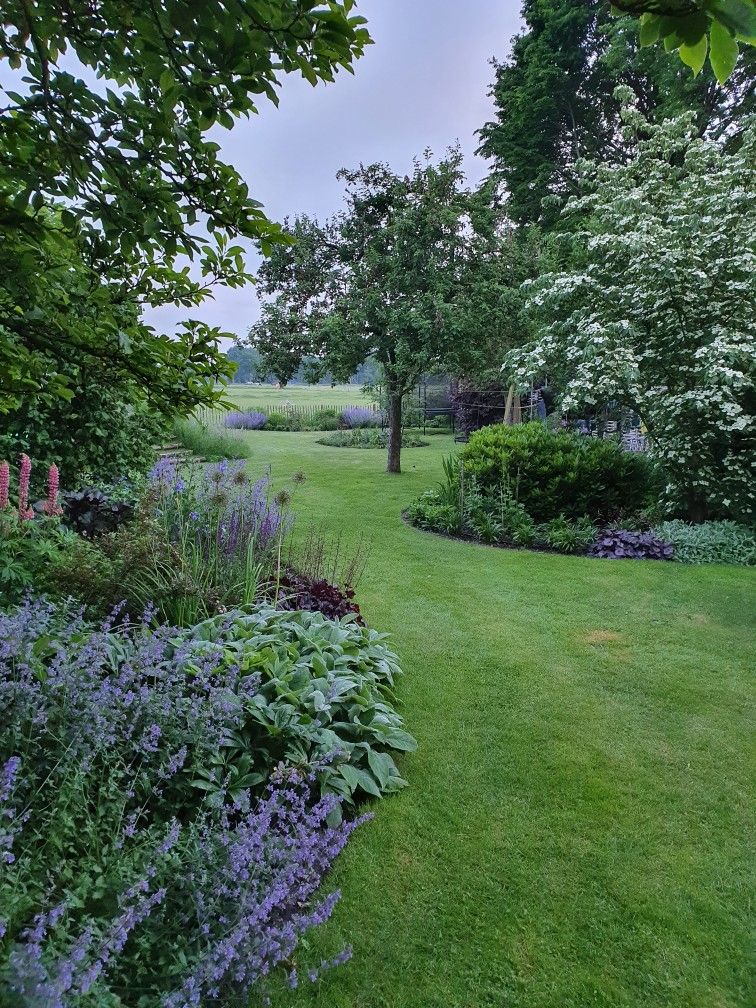 Terrace Garden, Garden Plants, Dream Garden, Home And Garden, Delphinium, Farm Landscaping, Garden Elements, Garden Layout, Gorgeous Gardens