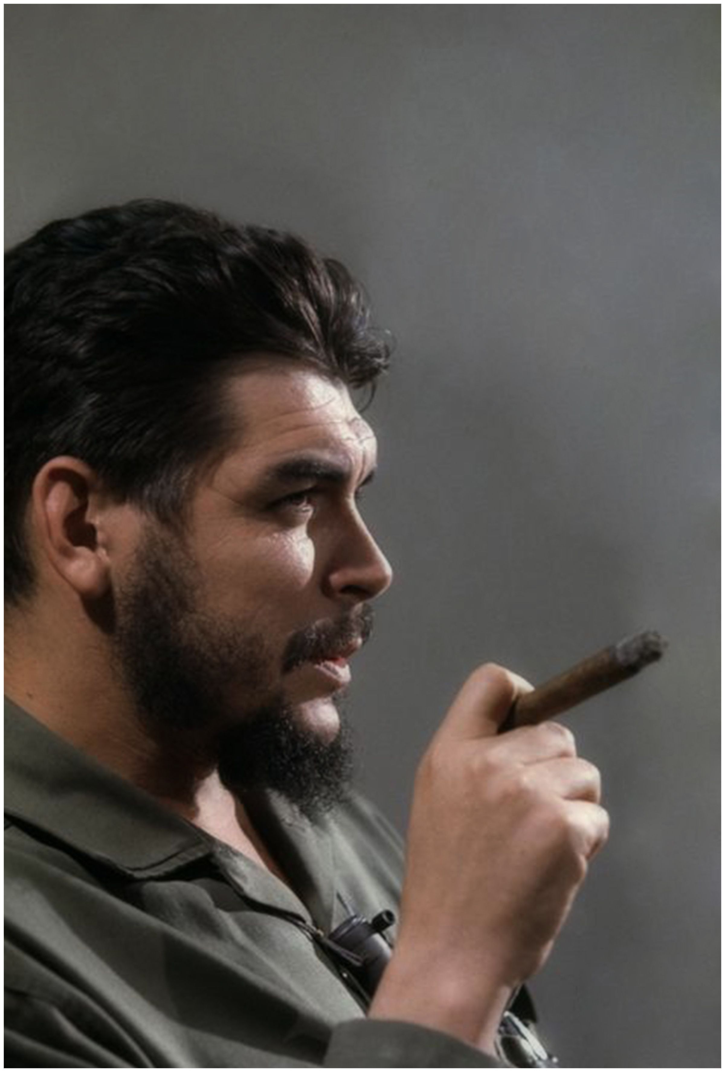 Fidel (şarkıcı). Onun işi Fidel (şarkıcı). Onun işi
