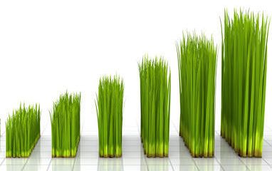 lawn care advertising templates