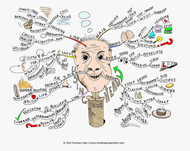 the using your head mind map will help you to capture in the mind mind map format