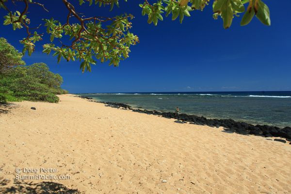best snorkeling kauai november