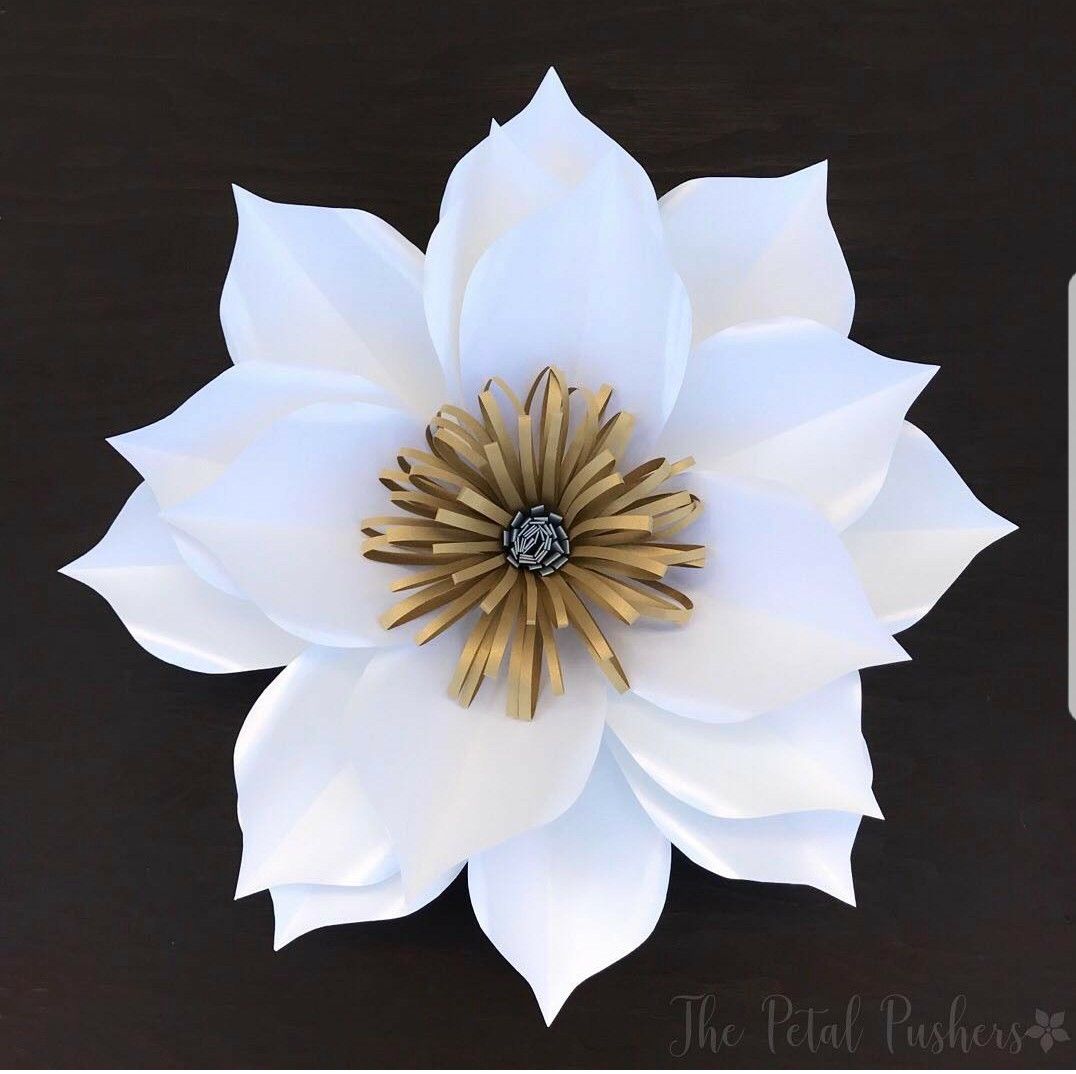 Image result for luna flower