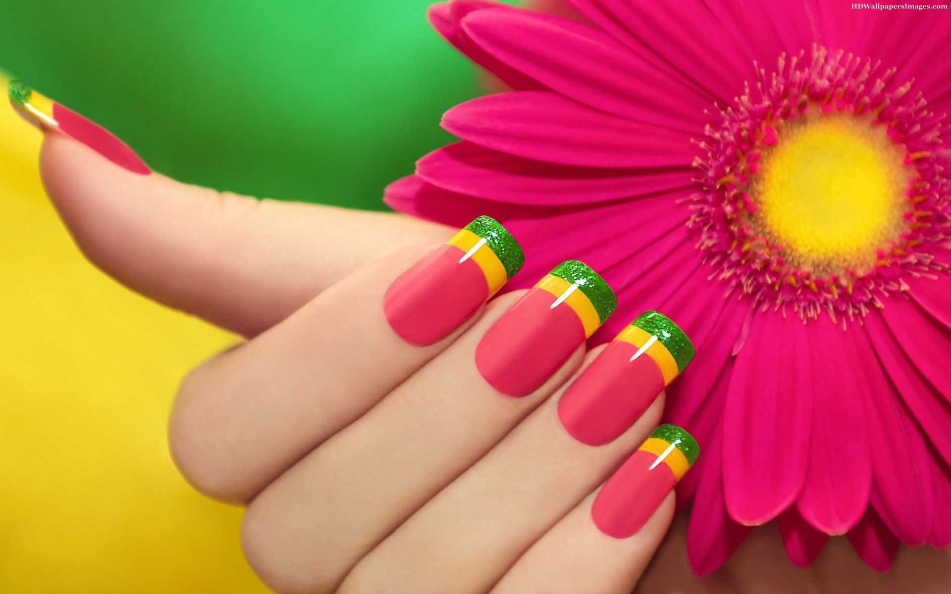 Erbera Flower With Hand Nail Polish Images Hd Wallpapers Erbera Flower With Hand Nail Polish Images Hd Wallpapers