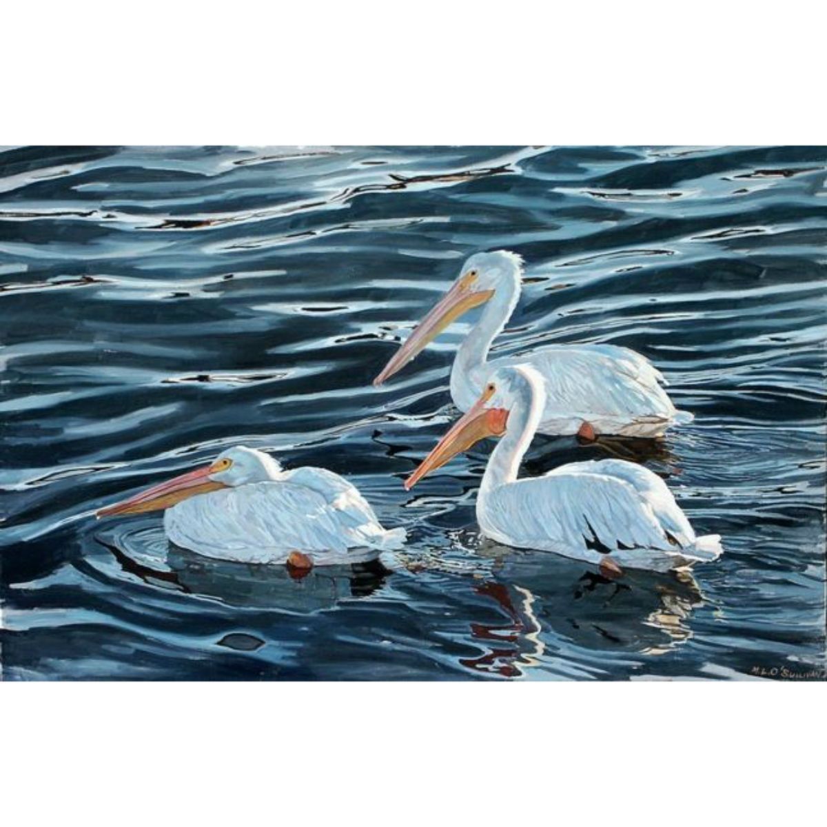 Floating White Pelicans Giclee in 2021 Florida artist Painting Artist