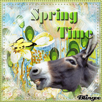 Spring Time