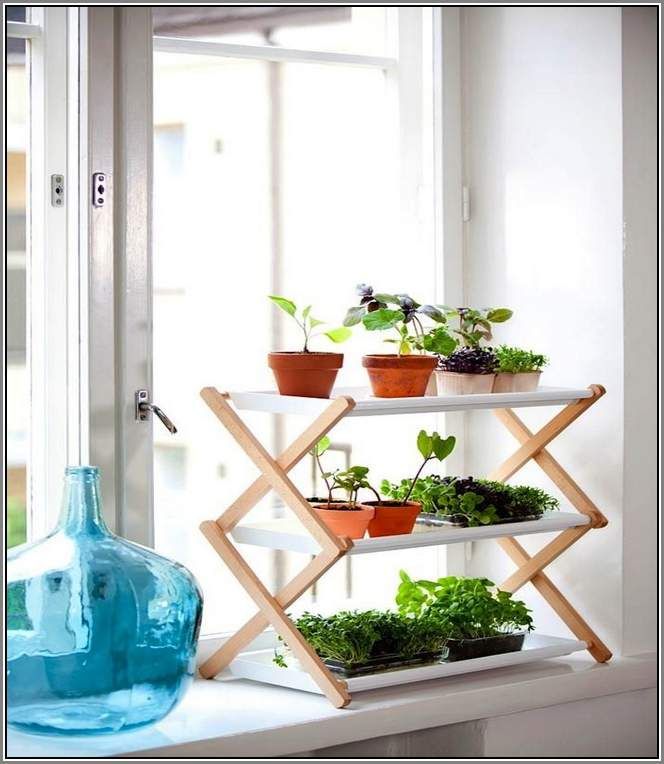 indoor window plants plant shelves for window sills on shelves for plants indoor id=62897