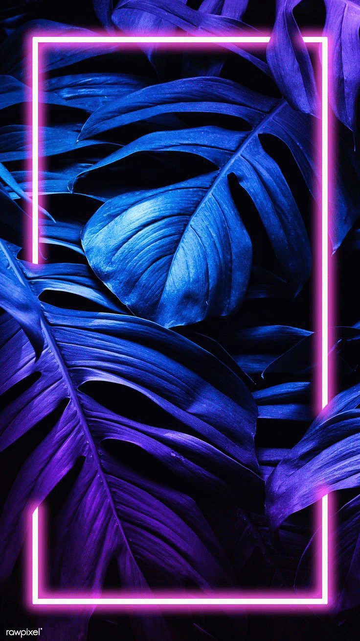 900 Iphone Wallpapers That Will Freshen Up Your Homescreen With Images Ocean Wallpaper Homescreen Wallpaper Iphone Wallpaper