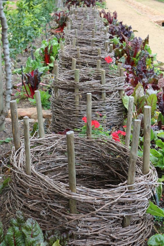 11 Garden Ideas to Steal from South Africa - Garde 11 Garden Ideas to Steal from South Africa - Garde