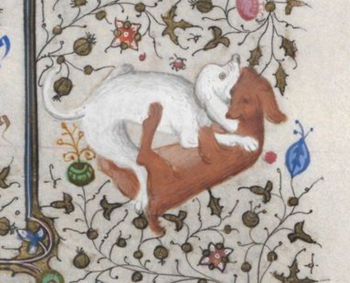 Image result for medieval manuscript puppies