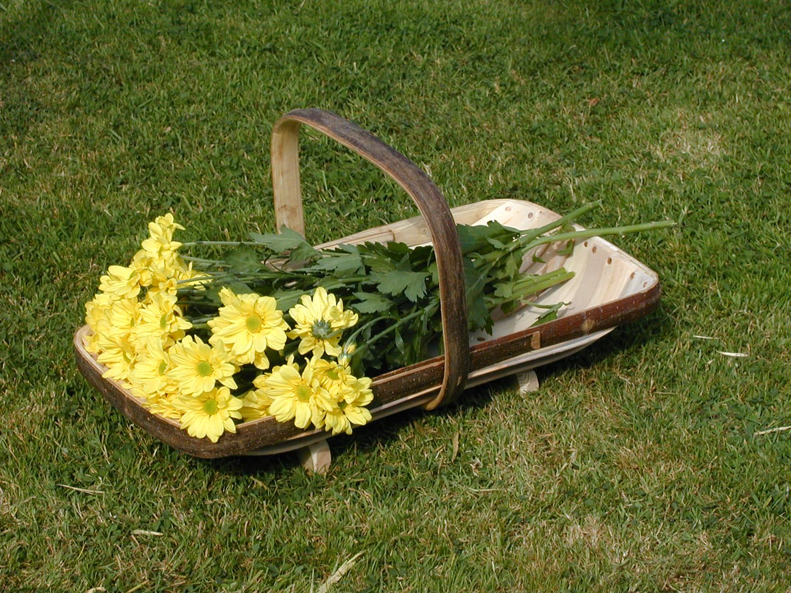 Royal Sussex Traditional Flower Trug Royal sussex, Herb planter box