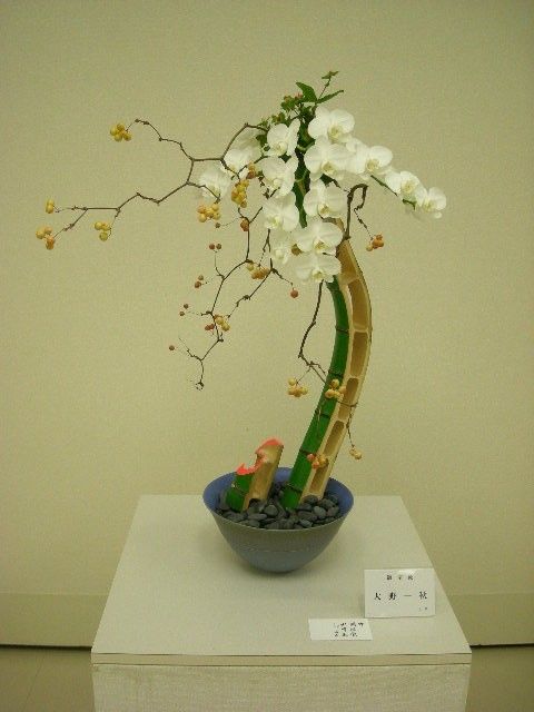 Anor japansk vaser ikebana