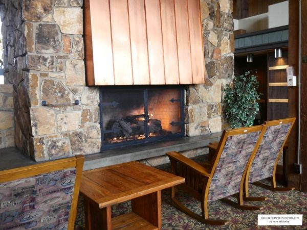 Dog-Friendly Vacations in the Midwest-Guernsey County ...