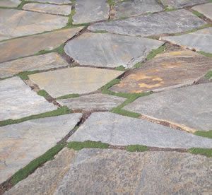 This what Im going for with my walkway to the front door. #walkwaystofrontdoor This what Im going for with my walkway to the front door. #walkwaystofrontdoor This what Im going for with my walkway to the front door. #walkwaystofrontdoor This what Im going for with my walkway to the front door. #walkwaystofrontdoor This what Im going for with my walkway to the front door. #walkwaystofrontdoor This what Im going for with my walkway to the front door. #walkwaystofrontdoor This what Im going for wit #walkwaystofrontdoor
