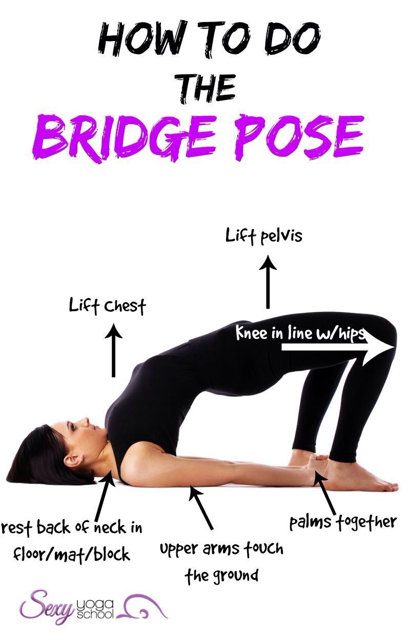 How to Do a Bridge Exercise With an Exercise Ball pictures picture How to Do a Bridge Exercise With an Exercise Ball