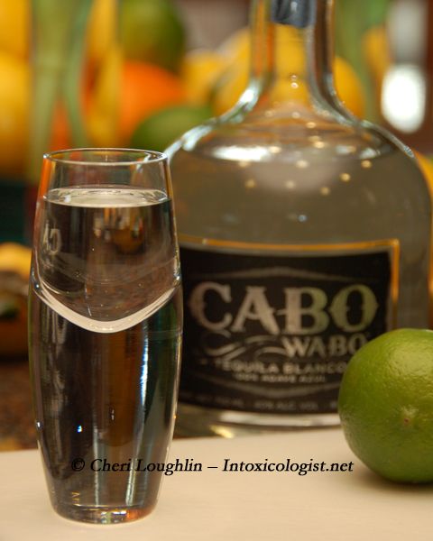 15 Easy Tequila Drink Recipes to Try #tequiladrinks