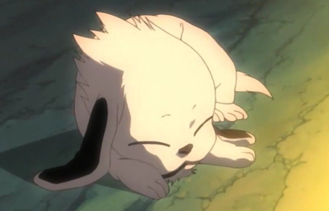Akamaru Akamaru