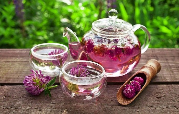 PLANTES Médicinales – Pour être bien dans son assiette ... PLANTES Médicinales – Pour être bien dans son assiette ...