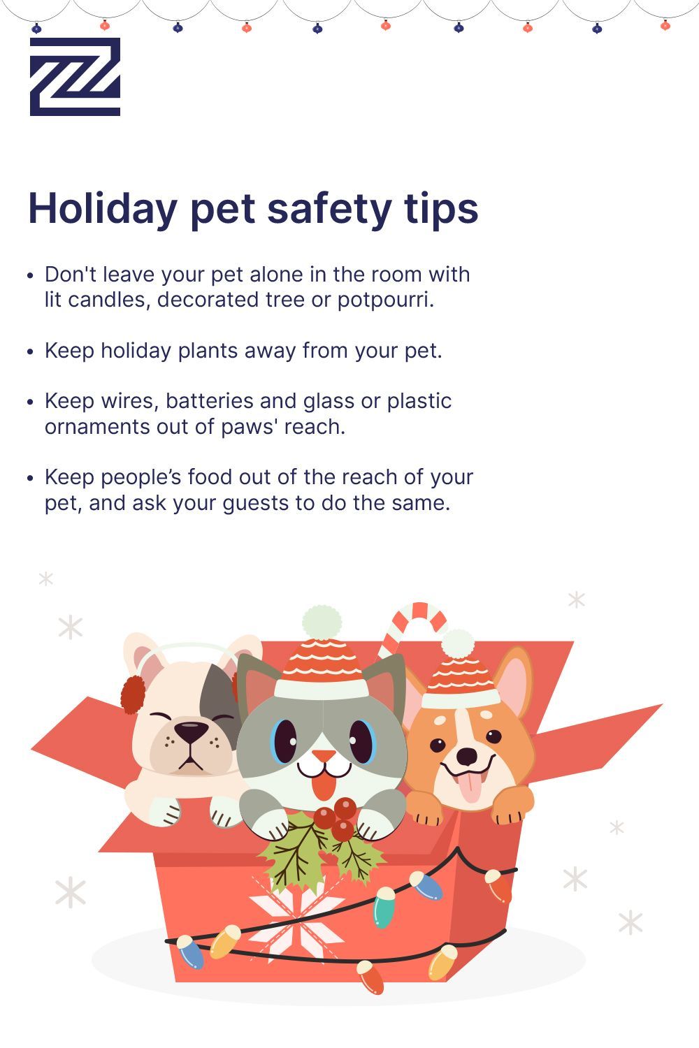 Pet Insurance Companies Florida