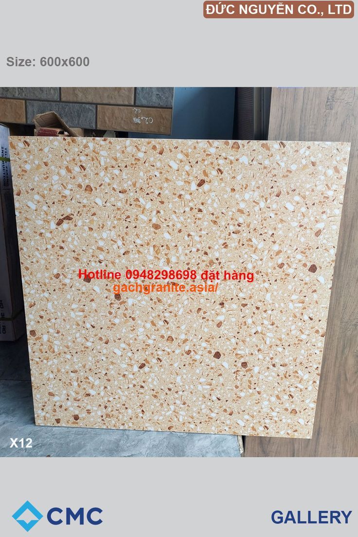 cc747c64c2470a94e3c3b2870aeb2a3c gạch terrazzo 600x600 mờ CMC