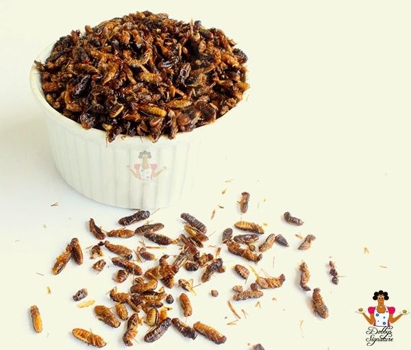 Edible Termites Aku Shinge Esunsun Food West African Food