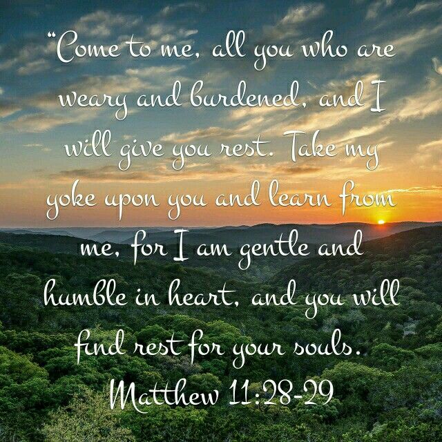 Matthew 11 28 29 Humble Heart Jesus Is Lord Fruit In Season